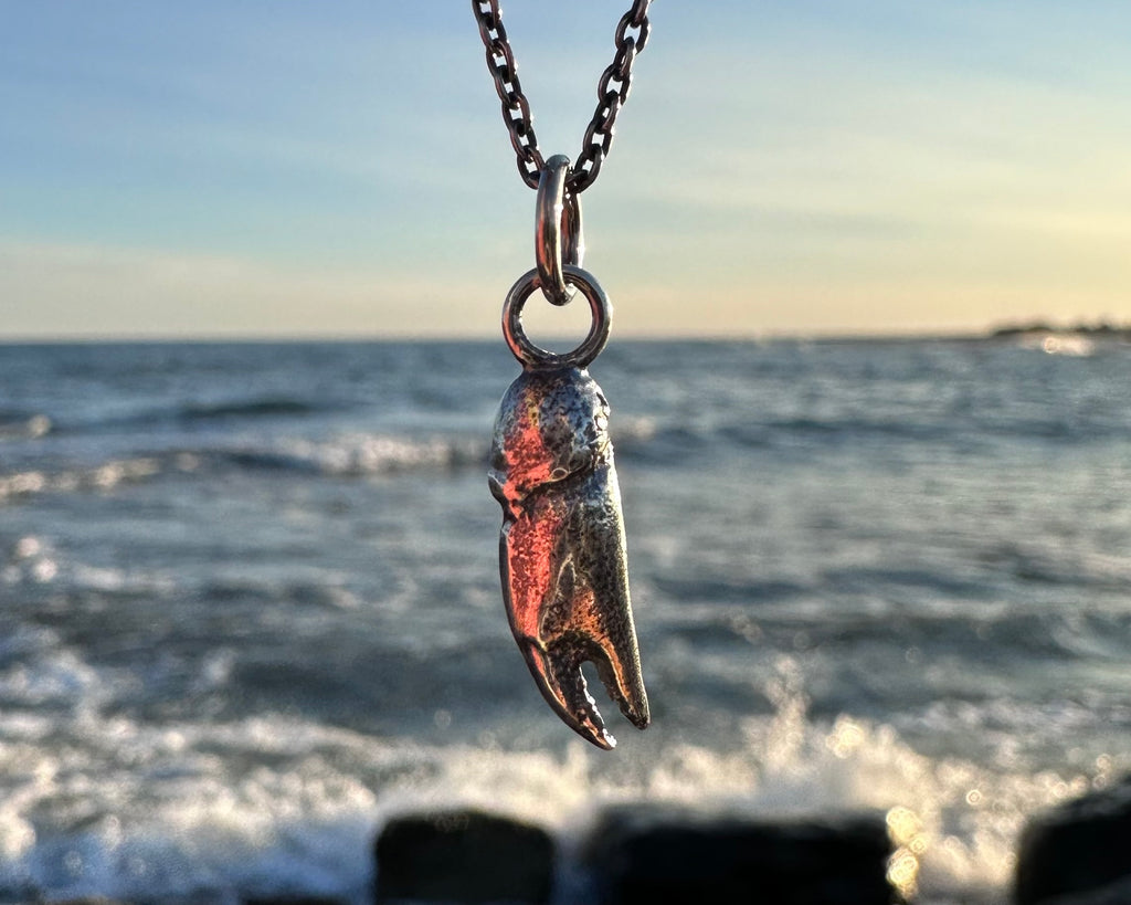 tiny crab claw necklace