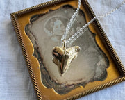 14k gold vermeil shark tooth