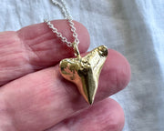 gold shark tooth pendant front