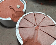 sand casting star fossil