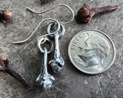 spicy clove earrings