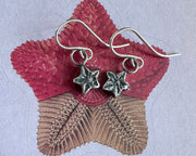 star crinoid fossil earrings