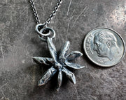 star anise