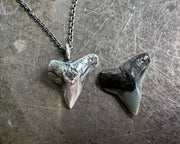 shark tooth jewelry