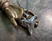 shark tooth pendant