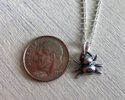 tiny spider