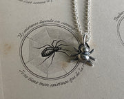 spider
