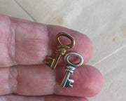 tiny skeleton key