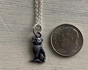 silver cat