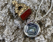 turtle wax seal necklace