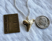 gold shark tooth talisman necklace pendant