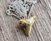 gold shark tooth jewelry