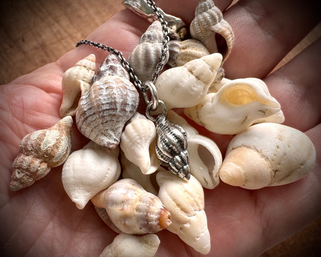 whelk shell spiral necklace pendant in sterling silver