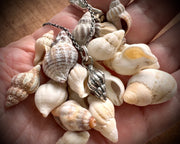 whelk shell spiral necklace pendant in sterling silver