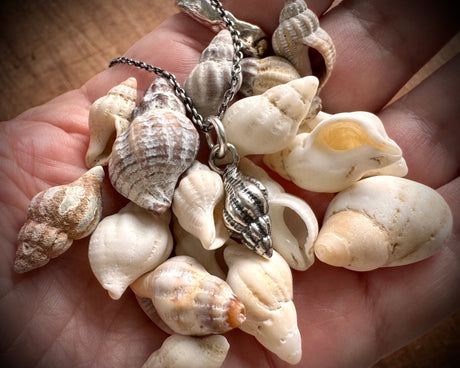 whelk shell spiral necklace pendant in sterling silver