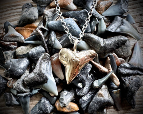 custom for K - gold shark tooth talisman necklace pendant