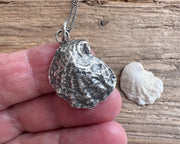 shell jewelry