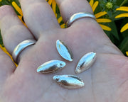 sterling silver pumpkin seeds