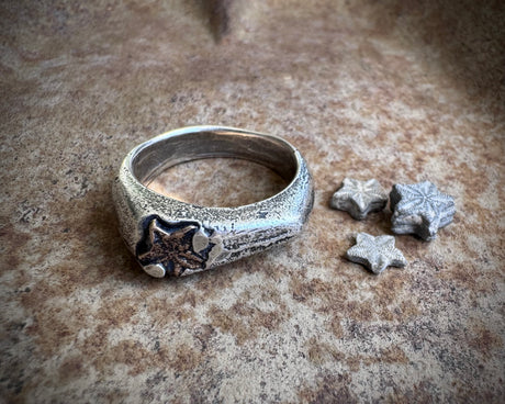 tiny star fossil ring - crinoid star - fossil hunter jewelry