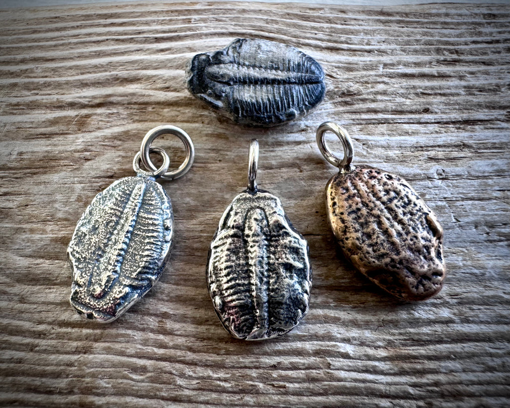 trilobite fossil necklace pendant - fossil hunter jewelry