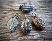 trilobite fossil necklace pendant - fossil hunter jewelry