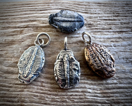 trilobite fossil necklace pendant - fossil hunter jewelry