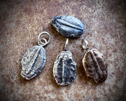 trilobite fossil necklace pendant - fossil hunter jewelry