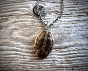 trilobite fossil necklace pendant - fossil hunter jewelry