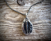 trilobite fossil necklace pendant - fossil hunter jewelry