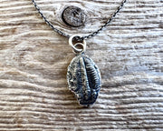 trilobite fossil necklace pendant - fossil hunter jewelry