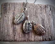 trilobite fossil necklace pendant - fossil hunter jewelry
