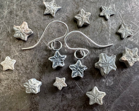 crinoid star fossil earrings