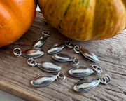 pumpkin seed charms