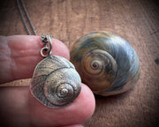 moon snail spiral necklace pendant in sterling silver