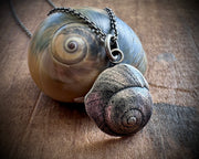 moon snail spiral necklace pendant in sterling silver