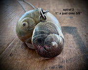 moon snail spiral necklace pendants in sterling silver