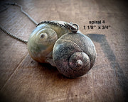 moon snail spiral necklace pendants in sterling silver