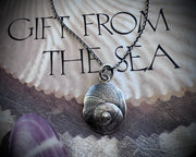 moon snail spiral necklace pendants in sterling silver