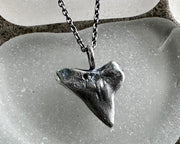 shark tooth amulet