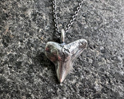 shark tooth talisman necklace