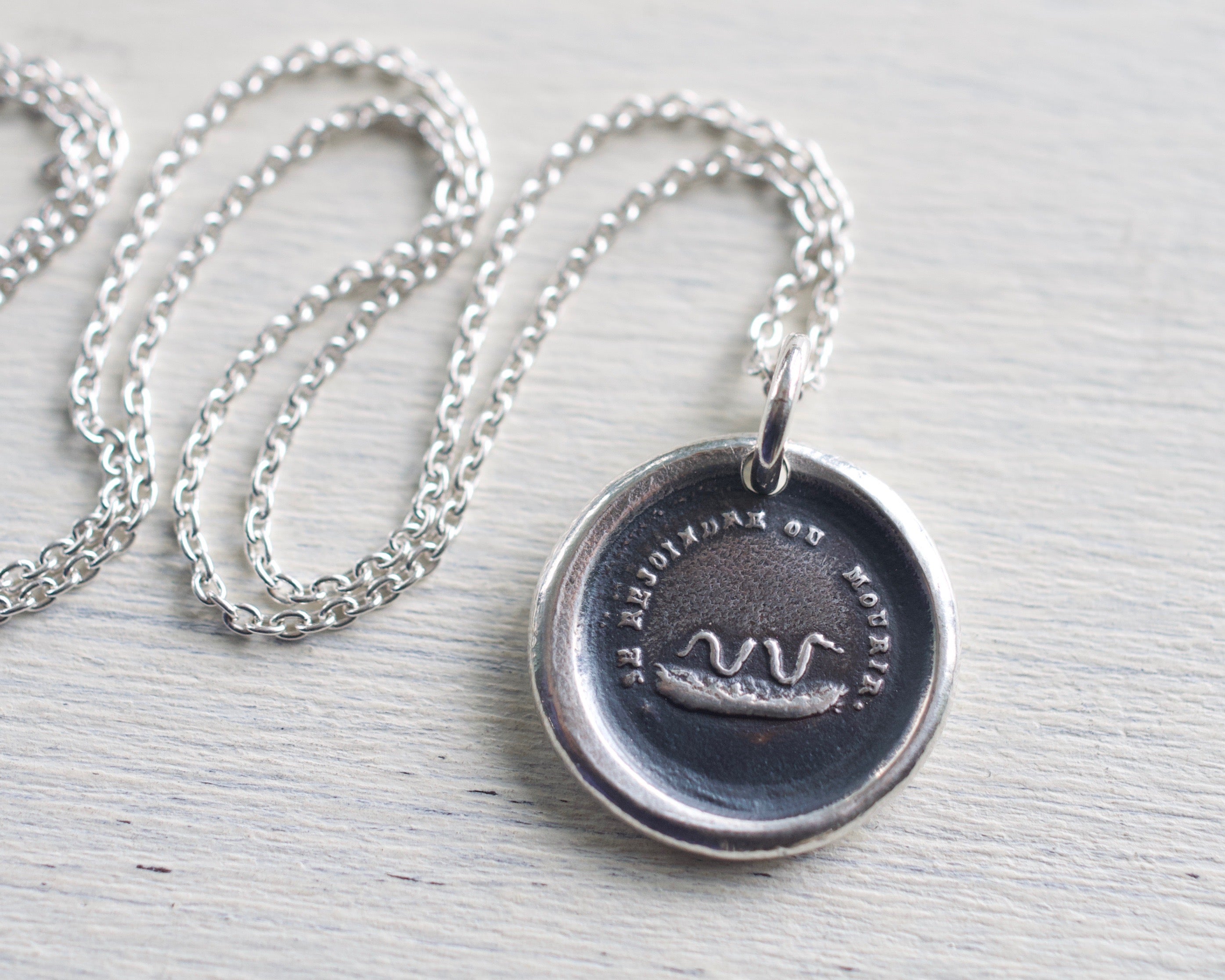 snake wax seal necklace - broken snake - will join or die | suegray jewelry